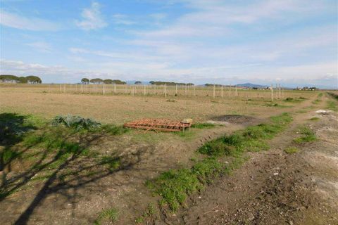 Farm hus i Grosseto, Grosseto, Grosseto - € 690.000 | Ref: A7631TA1402201A-1082738 - foto 1