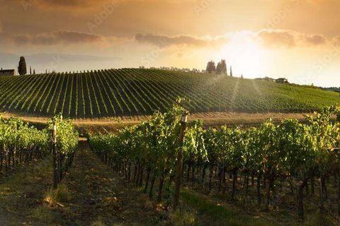 Villa i Florence, Florence, Florence - € 1.800.000 | Ref: A8312RV2233493A-1083687 - foto 10