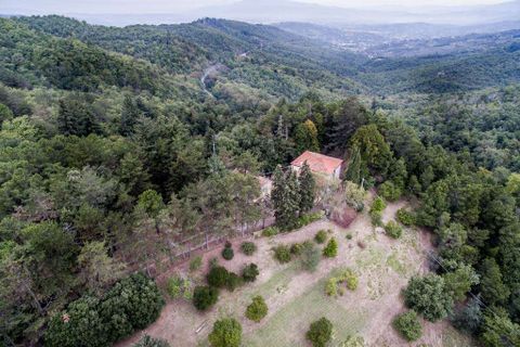 Villa i Arezzo, Arezzo, Arezzo - € 499.000 | Ref: A10862RV2393135A-1084826 - foto 10
