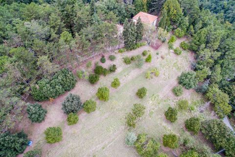 Villa i Arezzo, Arezzo, Arezzo - € 499.000 | Ref: A10862RV2393135A-1084826 - foto 11
