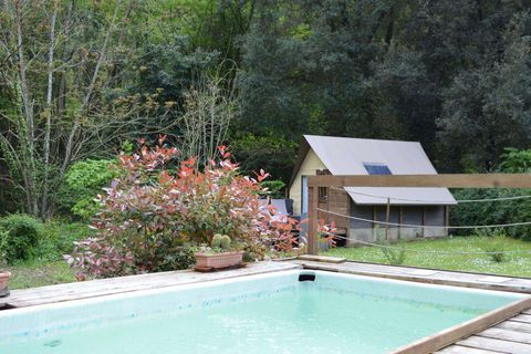 Farm hus i Sassetta, Livorno, Sassetta - € 780.000 | Ref: A9591MF101-1085545 - foto 6
