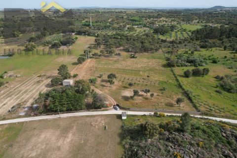 Helårsgrund i Castelo Branco, Castelo Branco, Castelo Branco - € 65.000 | Ref: 5042 - foto 2
