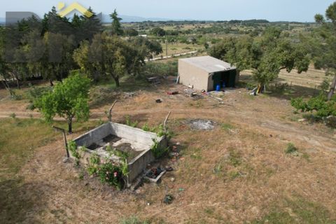 Helårsgrund i Castelo Branco, Castelo Branco, Castelo Branco - € 65.000 | Ref: 5042 - foto 3