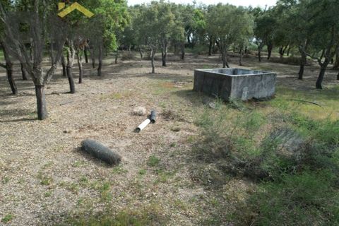 Helårsgrund i Castelo Branco, Castelo Branco, Castelo Branco - € 65.000 | Ref: 5042 - foto 6