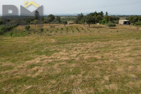 Helårsgrund i Castelo Branco, Castelo Branco, Castelo Branco - € 65.000 | Ref: 5042 - foto 8