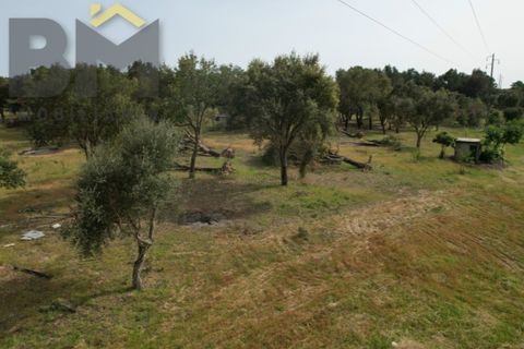 Helårsgrund i Castelo Branco, Castelo Branco, Castelo Branco - € 65.000 | Ref: 5042 - foto 9