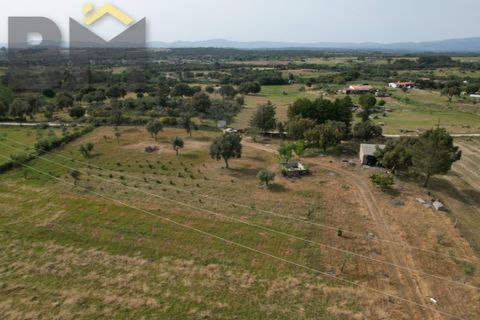 Helårsgrund i Castelo Branco, Castelo Branco, Castelo Branco - € 65.000 | Ref: 5042 - foto 12