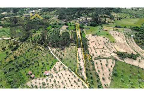 Helårsgrund i Castelo Branco, Castelo Branco, Castelo Branco - € 16.000 | Ref: 5039 - foto 1
