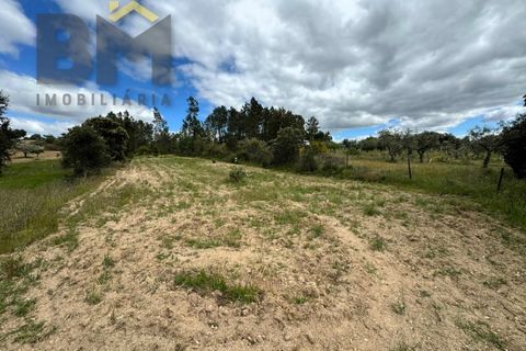 Helårsgrund i Castelo Branco, Castelo Branco, Castelo Branco - € 16.000 | Ref: 5039 - foto 7