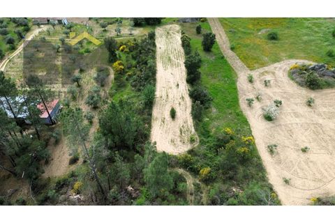 Helårsgrund i Castelo Branco, Castelo Branco, Castelo Branco - € 16.000 | Ref: 5039 - foto 8