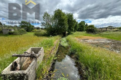 Helårsgrund i Castelo Branco, Castelo Branco, Castelo Branco - € 16.000 | Ref: 5039 - foto 10