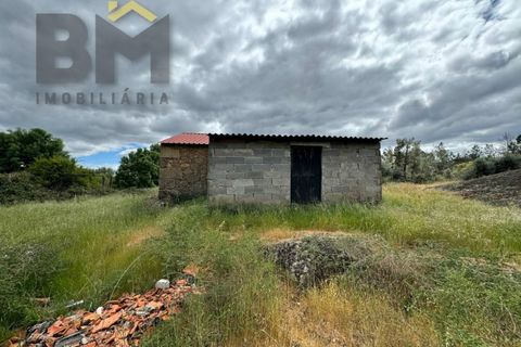 Helårsgrund i Castelo Branco, Castelo Branco, Castelo Branco - € 16.000 | Ref: 5039 - foto 11
