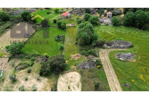 Helårsgrund i Castelo Branco, Castelo Branco, Castelo Branco - € 16.000 | Ref: 5039 - foto 14