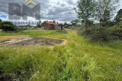 Helårsgrund i Castelo Branco, Castelo Branco, Castelo Branco - € 16.000 | Ref: 5039 - foto 15