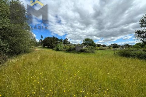 Helårsgrund i Castelo Branco, Castelo Branco, Castelo Branco - € 16.000 | Ref: 5039 - foto 16
