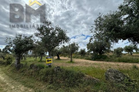 Helårsgrund i Castelo Branco, Castelo Branco, Castelo Branco - € 16.000 | Ref: 5039 - foto 17