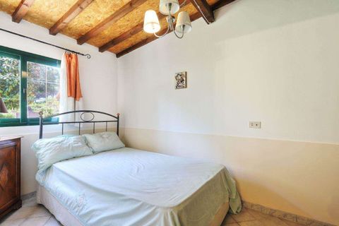Villa i Rosignano Marittimo, Livorno, Rosignano Marittimo - € 595.000 | Ref: A9591MF071-1086961 - foto 22