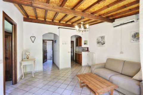 Villa i Rosignano Marittimo, Livorno, Rosignano Marittimo - € 595.000 | Ref: A9591MF071-1086961 - foto 24