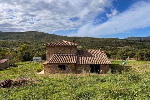 Farm hus i Bucine, Arezzo, Bucine - € 580.000 | Ref: A1190RC48473-1087086 - foto 11