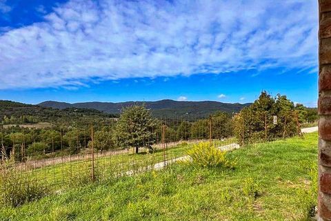 Farm hus i Bucine, Arezzo, Bucine - € 580.000 | Ref: A1190RC48473-1087086 - foto 12