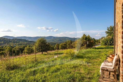 Farm hus i Bucine, Arezzo, Bucine - € 580.000 | Ref: A1190RC48473-1087086 - foto 27