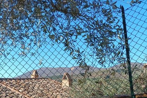 Byhus i Cetona, Siena, Cetona - € 650.000 | Ref: A5153RA2558159A-1087568 - foto 24