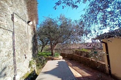 Byhus i Cetona, Siena, Cetona - € 650.000 | Ref: A5153RA2558159A-1087568 - foto 25