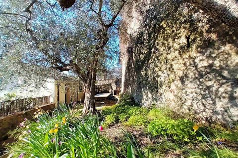 Byhus i Cetona, Siena, Cetona - € 650.000 | Ref: A5153RA2558159A-1087568 - foto 27