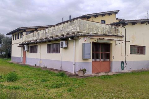 Erhvervsejendom i Florence, Florence, Florence - € 650.000 | Ref: A8150UF13301-1087906 - foto 7