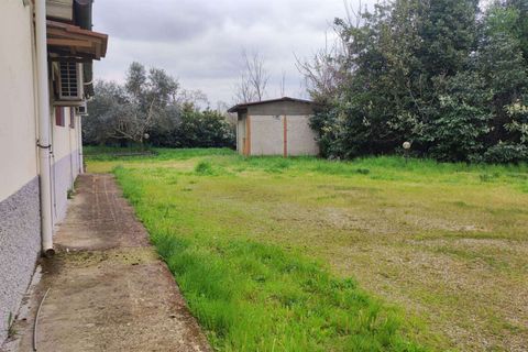 Erhvervsejendom i Florence, Florence, Florence - € 650.000 | Ref: A8150UF13301-1087906 - foto 20
