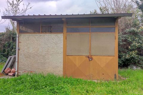 Erhvervsejendom i Florence, Florence, Florence - € 650.000 | Ref: A8150UF13301-1087906 - foto 22