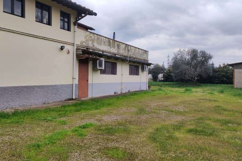 Erhvervsejendom i Florence, Florence, Florence - € 650.000 | Ref: A8150UF13301-1087906 - foto 24