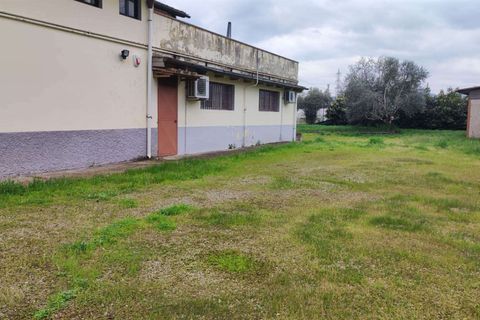 Erhvervsejendom i Florence, Florence, Florence - € 650.000 | Ref: A8150UF13301-1087906 - foto 25
