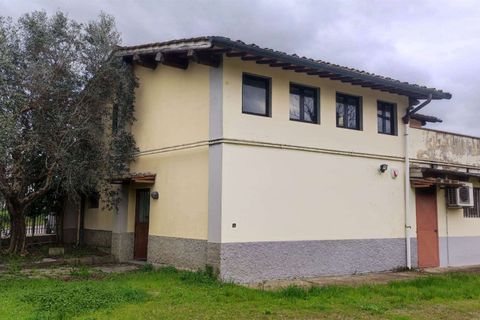 Erhvervsejendom i Florence, Florence, Florence - € 650.000 | Ref: A8150UF13301-1087906 - foto 26