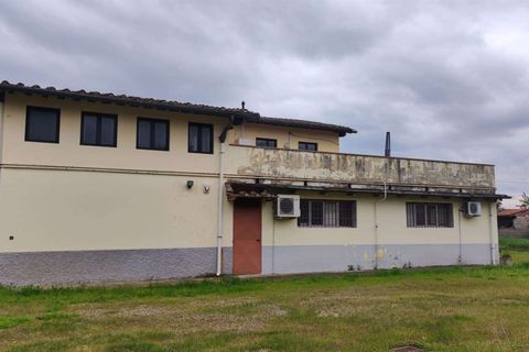 Erhvervsejendom i Florence, Florence, Florence - € 650.000 | Ref: A8150UF13301-1087906 - foto 27
