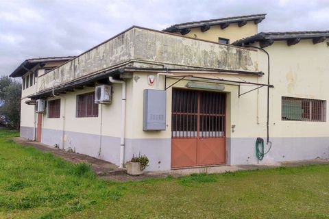 Erhvervsejendom i Florence, Florence, Florence - € 650.000 | Ref: A8150UF13301-1087906 - foto 28