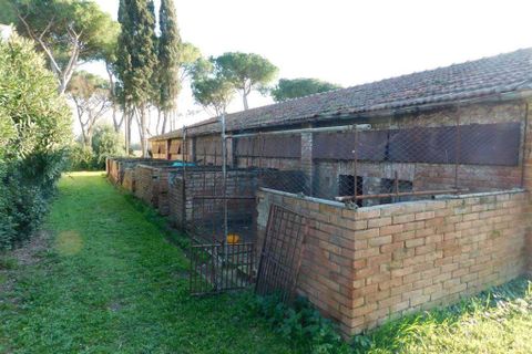 Farm hus i Grosseto, Grosseto, Grosseto - € 1.200.000 | Ref: A7631TA1732967A-1088227 - foto 11