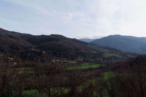 Farm hus i Dicomano, Florence, Dicomano - € 170.000 | Ref: A6273RC2535044A-1088521 - foto 22