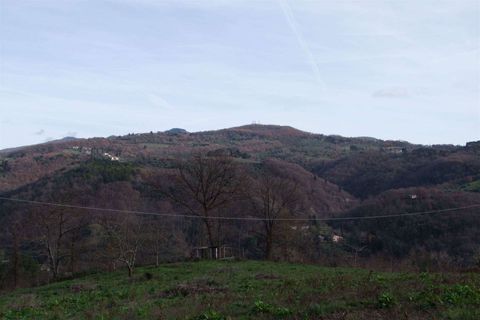 Farm hus i Dicomano, Florence, Dicomano - € 170.000 | Ref: A6273RC2535044A-1088521 - foto 25