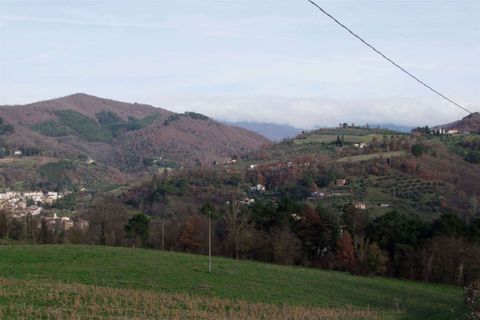 Farm hus i Dicomano, Florence, Dicomano - € 170.000 | Ref: A6273RC2535044A-1088521 - foto 26