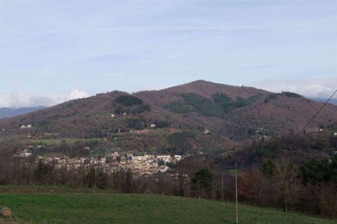 Farm hus i Dicomano, Florence, Dicomano - € 170.000 | Ref: A6273RC2535044A-1088521 - foto 27