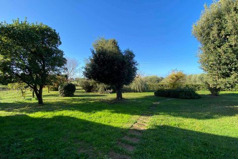 Villa i Grosseto, Grosseto, Grosseto - € 750.000 | Ref: A6455RV2516673A-1088629 - foto 5