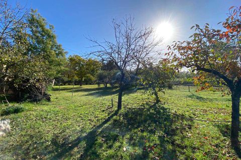 Villa i Grosseto, Grosseto, Grosseto - € 750.000 | Ref: A6455RV2516673A-1088629 - foto 9