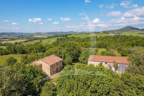 Farm hus i Pienza, Siena, Pienza - € 690.000 | Ref: A1190RC48150-1088793 - foto 7