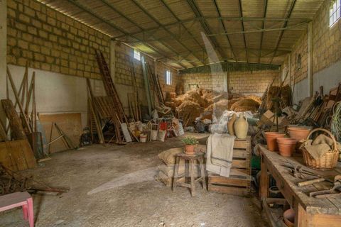 Farm hus i Pienza, Siena, Pienza - € 690.000 | Ref: A1190RC48150-1088793 - foto 28