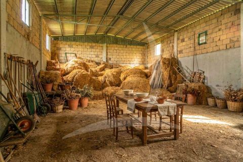 Farm hus i Pienza, Siena, Pienza - € 690.000 | Ref: A1190RC48150-1088793 - foto 29