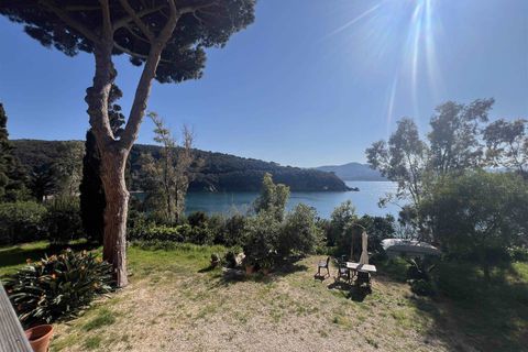 Villa i Rio Marina, Livorno, Rio Marina - € 2.200.000 | Ref: A9591FR027-1089226 - foto 27