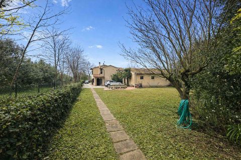 Lejlighed i Cecina, Livorno, Cecina - € 569.000 | Ref: A9591SR018-1089257 - foto 18