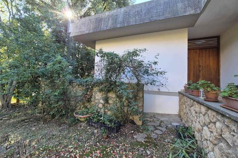 Leilighet i Massa Marittima, Grosseto, Massa Marittima - € 580 000 | Ref: A6621RA2527901A-1089604 - foto 5