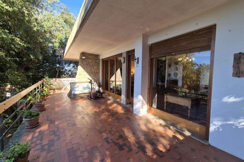 Leilighet i Massa Marittima, Grosseto, Massa Marittima - € 580 000 | Ref: A6621RA2527901A-1089604 - foto 12